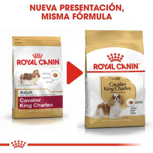 Royal Canin Cavalier King Charles Adult 8 Royal Canin Cavalier King Charles Adult – Image 6
