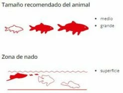 Sera Cichlids Sticks 11 Sera Cichlids Sticks -Miscota Soldes Boutique cichlids sticks nature 5 g