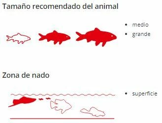 Sera Cichlids Sticks 7 Sera Cichlids Sticks – Image 5