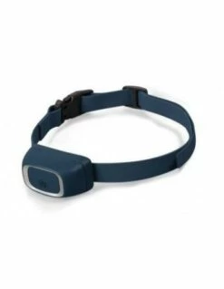 Petsafe Collier De Dressage Supplémentaire Pour Chiens 300/600/900 Trainer