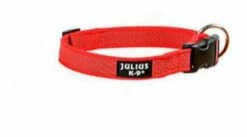 Julius K9 Collier En Nylon Avec Anneau Rouge 9 Julius K9 Collier En Nylon Avec Anneau Rouge -Miscota Soldes Boutique collar color gray idc rojo 20 mm 1 g