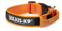 Julius K9 Couleur Du Collier : Gris Avec Poignée Orange
