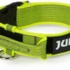 Julius K9 Couleur Du Collier Et Gris Avec Poignée Jaune