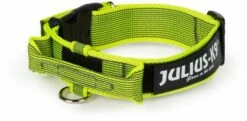 Julius K9 Couleur Du Collier Et Gris Avec Poignée Jaune