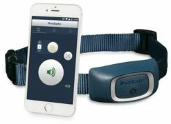 Petsafe Smart Dog Training Collar For Dogs