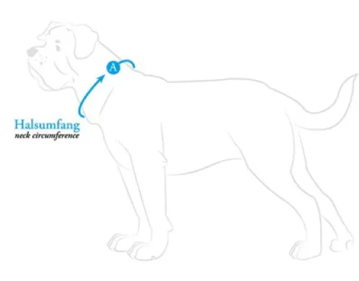 Hunter Collier Vario Basic 7 Hunter Collier Vario Basic – Image 5