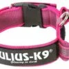 Julius K9 Collier Couleur Et Gris Avec Poignée Rose 1 Julius K9 Collier Couleur Et Gris Avec Poignée Rose -Miscota Soldes Boutique collar juliusk9 para perro 62dfd55e8330c g