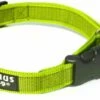 Julius K9 Collier En Nylon Avec Anneau Vert -Miscota Soldes Boutique collar 1 g