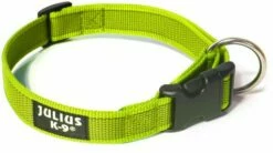 Julius K9 Collier En Nylon Avec Anneau Vert