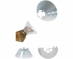 Ferribiella Collier En Plastique Élisabéthain 9 Ferribiella Collier En Plastique Élisabéthain -Miscota Soldes Boutique collardog 628d15b4a568e g