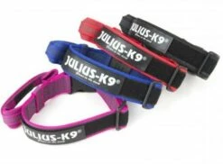 Julius K9 Collier De Couleur Et De Gris Avec Poignée Noire -Miscota Soldes Boutique collares de colores juliusk9 62dfd5ef1202a g