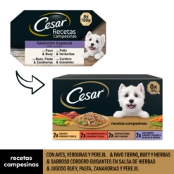 Cesar Nourriture Humide Pour Chiens Multipack Country Recipes In Sauce 11 Cesar Nourriture Humide Pour Chiens Multipack Country Recipes In Sauce -Miscota Soldes Boutique comida humeda para perros multipack recetas campesinas en salsa 2 g