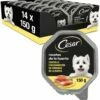 Lot 14 Cesar Nourriture Humide Recettes Pour Chiens Une Baignoire En Pâté -Miscota Soldes Boutique comida humeda perros recetas de la huerta en pate gelatina tarrina 13 g