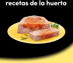 Lot 14 Cesar Nourriture Humide Recettes Pour Chiens Une Baignoire En Pâté -Miscota Soldes Boutique comida humeda perros recetas de la huerta en pate gelatina tarrina 6 g