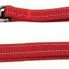 Nayeco Laisse De Formation Pour Chien En Nylon Réfléchissant Rouge 2 Nayeco Laisse De Formation Pour Chien En Nylon Réfléchissant Rouge -Miscota Soldes Boutique correa adiestramiento nylon reflectante rojo 1 g
