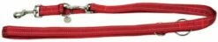 Nayeco Laisse De Formation Pour Chien En Nylon Réfléchissant Rouge