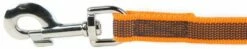 Julius K9 Laisse Gommée Sans Poignée Orange 9 Julius K9 Laisse Gommée Sans Poignée Orange -Miscota Soldes Boutique correa engomada sin asa 5 4 g