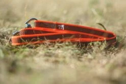 Julius K9 Laisse Snood Orange Avec Poignée Orange 8 Julius K9 Laisse Snood Orange Avec Poignée Orange -Miscota Soldes Boutique correa julius para perros naranja 6304e95a15a83 g