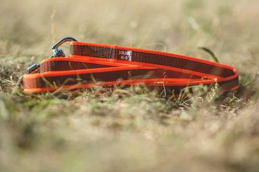 Julius K9 Laisse Snood Orange Avec Poignée Orange 5 Julius K9 Laisse Snood Orange Avec Poignée Orange – Image 3