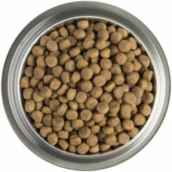 Pro Plan Veterinary Diets DRM Dermatosis -Miscota Soldes Boutique drm dermatosis 2 g