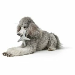 Hunter Jouet De Chien Star Skagen -Miscota Soldes Boutique e HOicLV 69000 001 image 21 600x600 637e38a81484a g