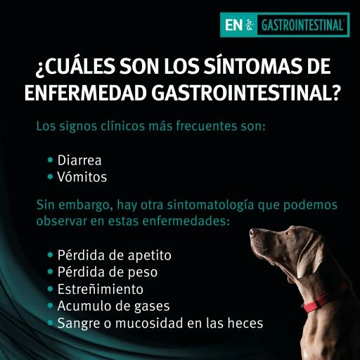 Pro Plan Veterinary Diets EN Gastrointestinal 13 Pro Plan Veterinary Diets EN Gastrointestinal – Image 11