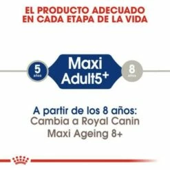 Royal Canin Tourteau Maxi Adult +5 -Miscota Soldes Boutique etapa 6246c4d1e7be1 g