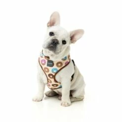 FuzzYard Arnes Go Nuts -Miscota Soldes Boutique fuzzyard harness gonuts dog 2 622b13ed36912 g