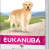 Eukanuba Golden Retriever -Miscota Soldes Boutique golden retriever 1 g