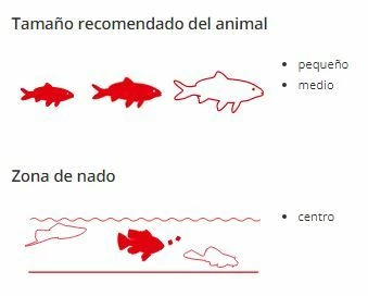 Sera Granugreen 8 Sera Granugreen – Image 6