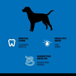 Hantu Saumon Et Pommes De Terre Adultes 9 Hantu Saumon Et Pommes De Terre Adultes -Miscota Soldes Boutique hantu perro adulto salmon 2info 622b31112ce64 g