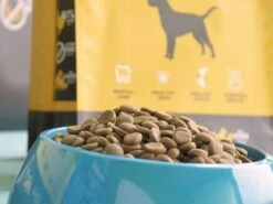 Hantu Poulet Et Riz Adulte 10 Hantu Poulet Et Riz Adulte -Miscota Soldes Boutique hantu perro pollo 635b88ed6782e g