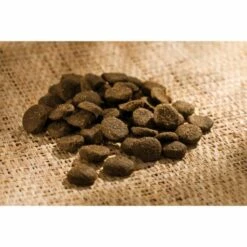 Happy Dog Irland Sensible 9 Happy Dog Irland Sensible -Miscota Soldes Boutique happy dog ireland irlanda 1 62a6dd05bbb93 g