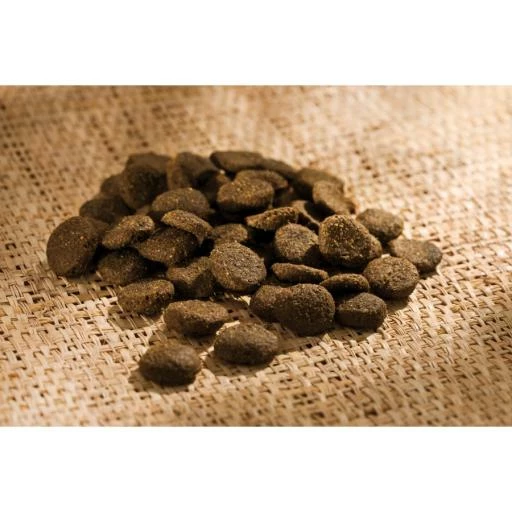 Happy Dog Irland Sensible 4 Happy Dog Irland Sensible – Image 2