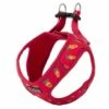 Freedog Harnais Imprimé Carotte Pour Chiens -Miscota Soldes Boutique harness carrot 63e4caf3367b2 g