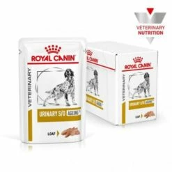 Royal Canin Urinary S/O Ageing +7 -Miscota Soldes Boutique hero 1 624bf2964ece9 g