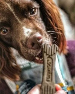 PlaqueOff Bones Veggie -Miscota Soldes Boutique huesos dentales veggie 625eac7620776 g