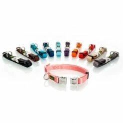 Hunter Col Vario Basic Alu Strong Collier Couleur Orange -Miscota Soldes Boutique hunter hunter coleira alu strong 63aca2810d684 g