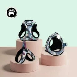 Bull Arnés Confort Thor Para Perros -Miscota Soldes Boutique image 10 63db8fb58d8c7 g