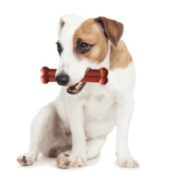 Tastybone Os Et Thym Poulet Rôti -Miscota Soldes Boutique image qp 3 6349155e403a3 g