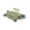 Exo Terra Île Flottante De La Tortue 1 Exo Terra Île Flottante De La Tortue -Miscota Soldes Boutique isla flotante tortuga 1 g