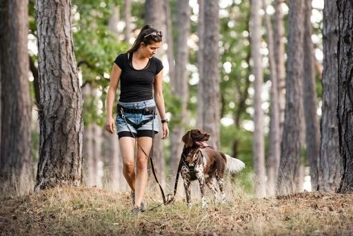 Julius K9 Ceinture Canicross Speed Rouge 4 Julius K9 Ceinture Canicross Speed Rouge – Image 2