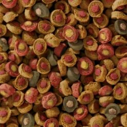 Sera Koi All Seasons Probiotic -Miscota Soldes Boutique koi all seasons probiotic 4 g