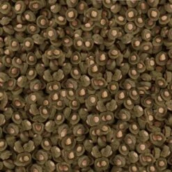 Sera Koi Professional Spiruline Aliment Colorant 16 Sera Koi Professional Spiruline Aliment Colorant -Miscota Soldes Boutique koi professional spirulina alimento colorante 7 g