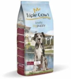Triple Crown Lovely BigPuppy