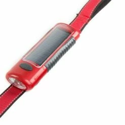 Patentopet Laisse De Chien Rouge Dog-E-Lite -Miscota Soldes Boutique luz correa perro roja 626ba2a4b7bec g