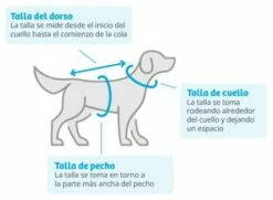 Nayeco Impermeable London Amarillo Para Perros -Miscota Soldes Boutique medidas talla perro ropa 631754e96c0a0 g