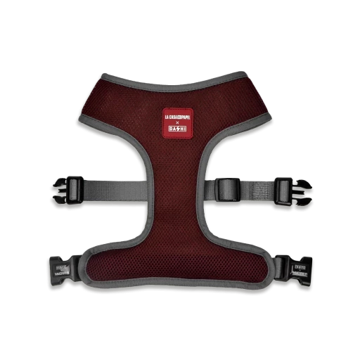 Dashi Harnais La Casa De Papel Melted Neo 4 Dashi Harnais La Casa De Papel Melted Neo – Image 2