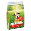 Friskies Mini Menu Chien Buf 2 Friskies Mini Menu Chien Buf -Miscota Soldes Boutique menu mini de buey 62a86ef69f051 g