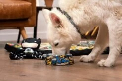 For Fan Pets Plongeur Pour Chien Batman -Miscota Soldes Boutique mordedor para perro batman 7 g